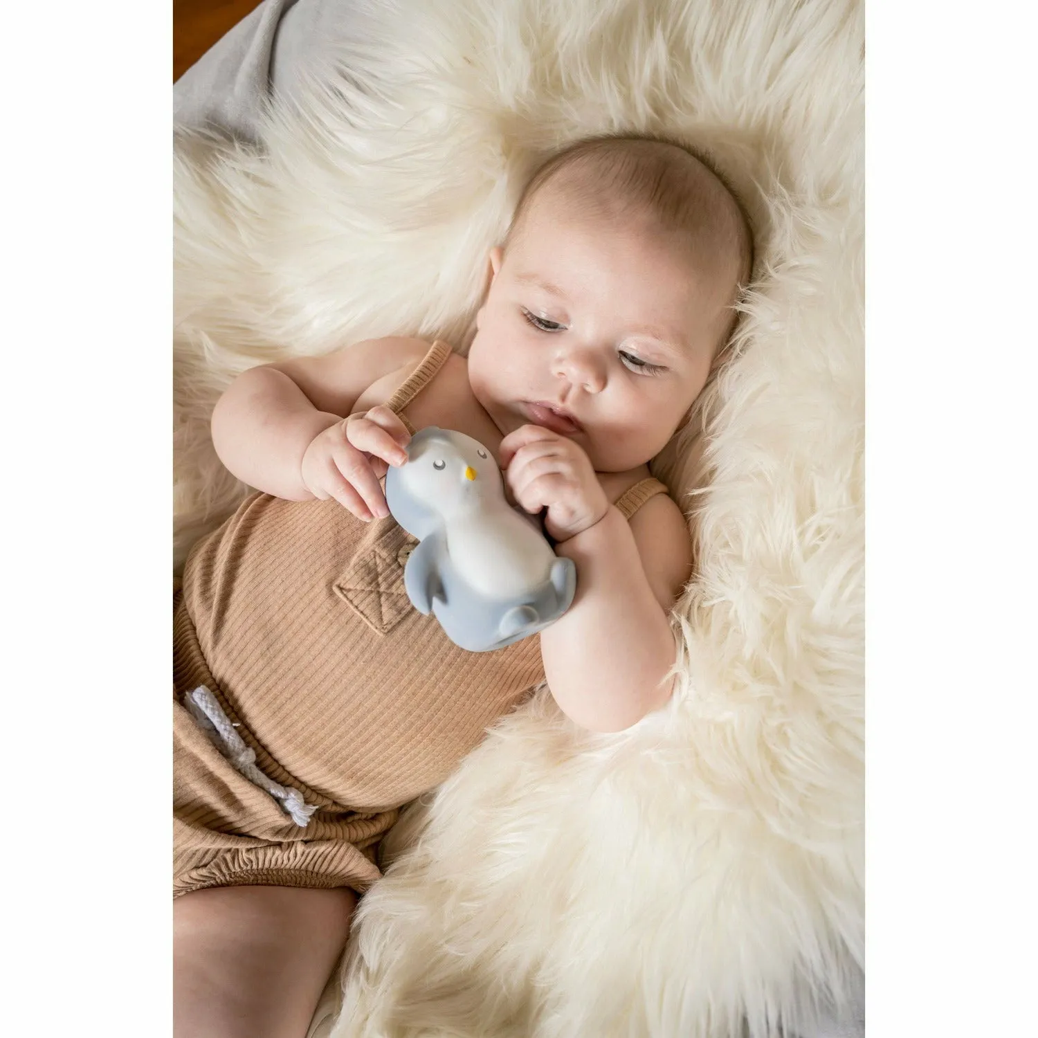 Tikiri Arctic Penguin Teether